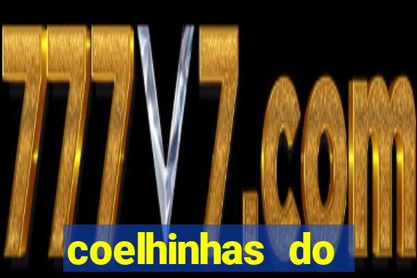 coelhinhas do brasil site