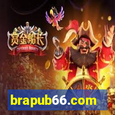 brapub66.com