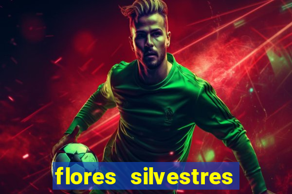 flores silvestres desbravadores desbravadores 25