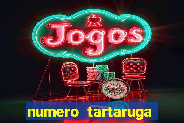 numero tartaruga jogo do bicho