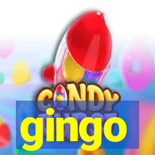 gingo